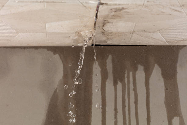 Professional Burst Pipe Cleanup technician working in Gloucester, NC